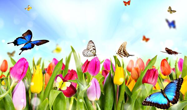 عکس بهار کودکانه