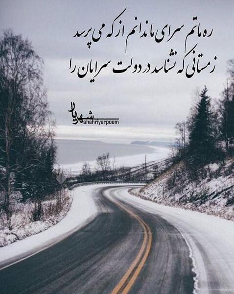 عکس طالبی و گرمک