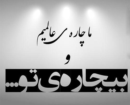عکس طالبی و گرمک