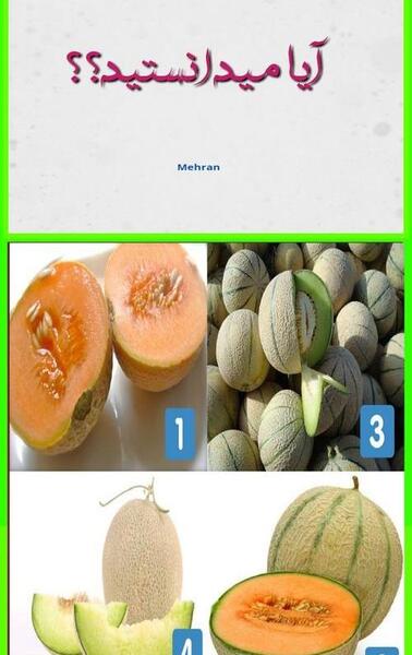 عکس طالبی و گرمک