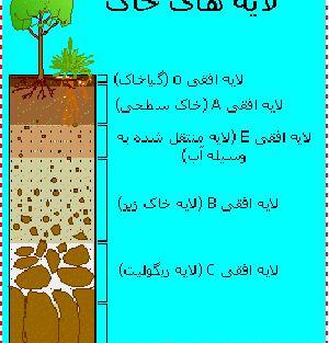 عکس خاک زیبا