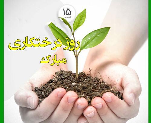 عکس خاک زیبا