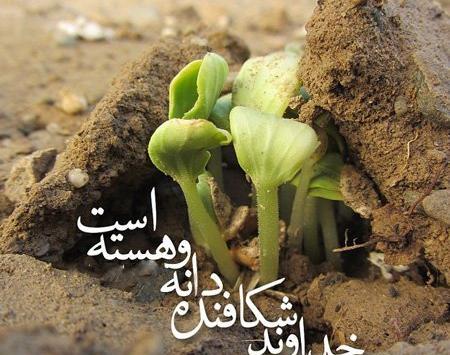 عکس خاک زیبا