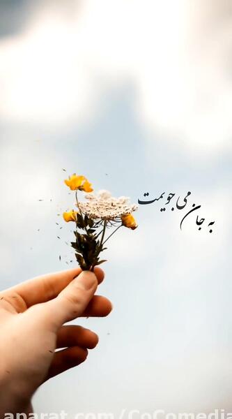 عکس استوری زیبا و جذاب