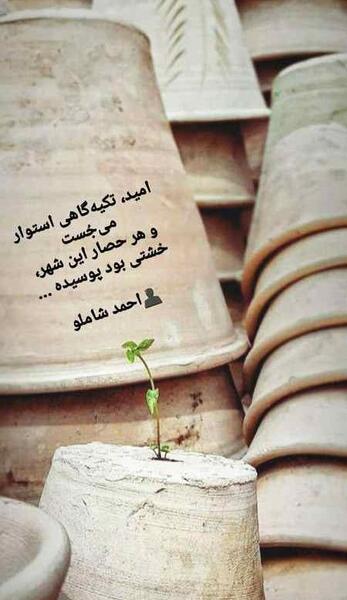 عکس استوری زیبا و جذاب