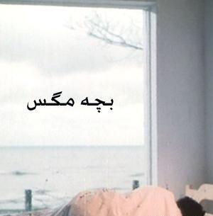 عکس نوزاد مگس