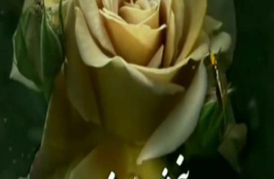 عکس نوشته پنجشنبه یعنی درد
