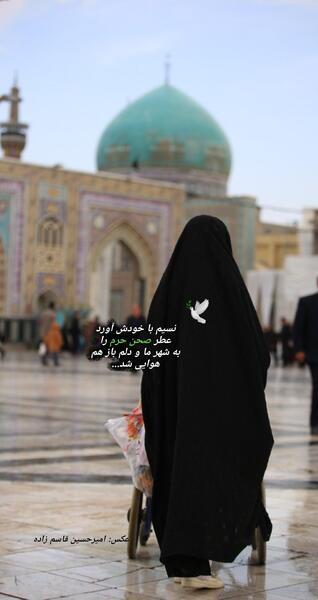 عکس استوری حرم امام رضا