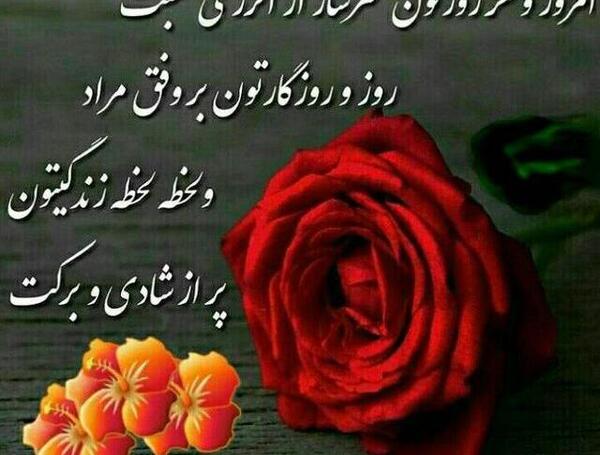عکس استوری ظهرتون بخیر
