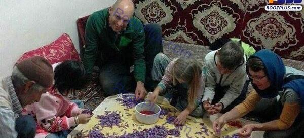 عکس میکروسکوپی زعفران