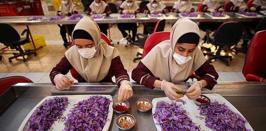 عکس زعفران بسته بندی شده