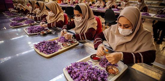 عکس زعفران بسته بندی شده
