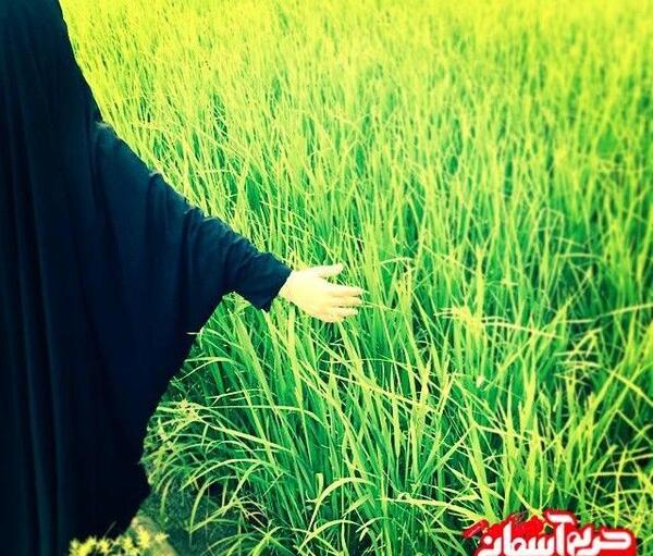 عکس دختر چادری روی نیمکت