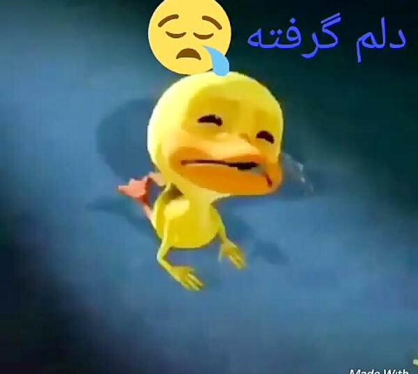 عکس وضعیت واتساپ شاد جدید