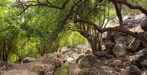 عکس دیدنی خوزستان