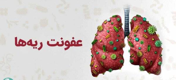 عکس ریه و شش