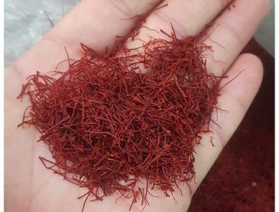 عکس های زعفران سرگل