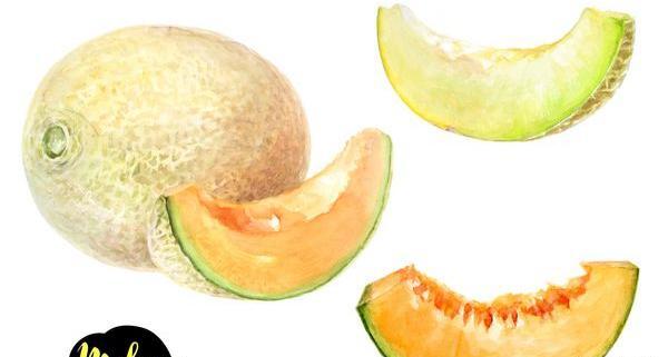 عکس طالبی و خربزه