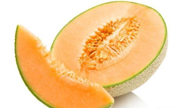 عکس طالبی و خربزه