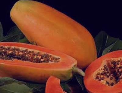 عکس طالبی و خربزه