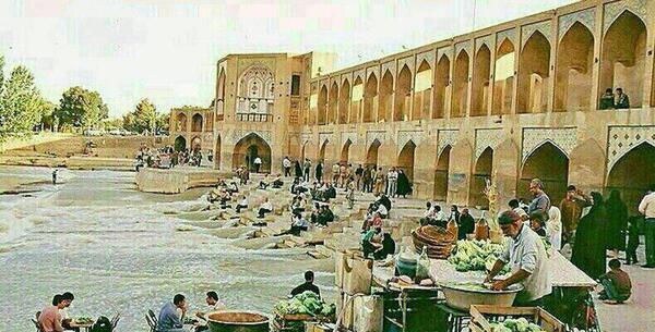 عکس سوسک خاکی