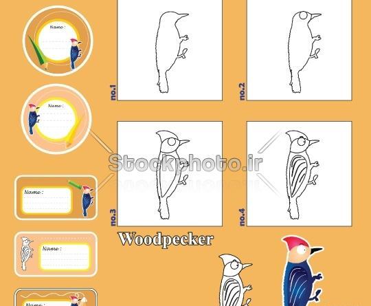 عکس دارکوب نقاشی