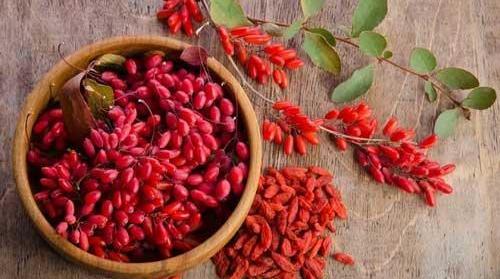 عکس خواص زرشک