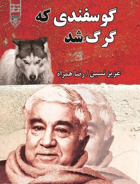 عکس گرگ چینی