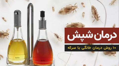 عکس عروسک شپش