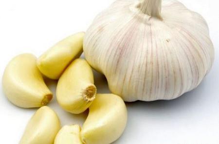 عکس غذای اصیل ایرانی