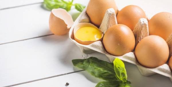عکس تخمه مرغ شترمرغ