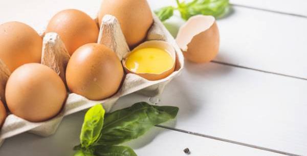 عکس تخمه مرغ شترمرغ