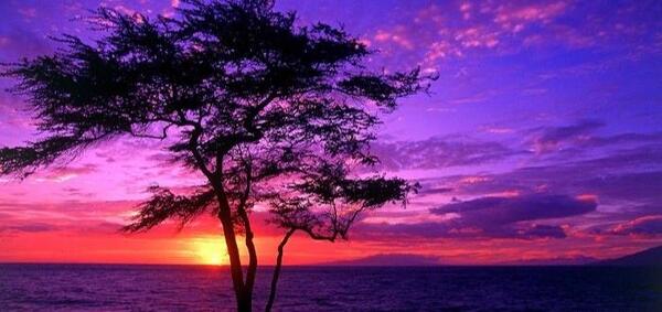 عکس منظره ی دریا