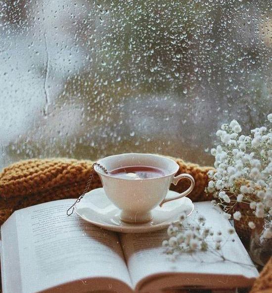 دانلود عکس چای در طبیعت