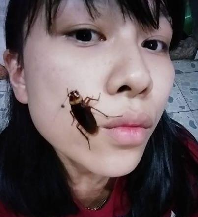 عکس سوسک های ترسناک