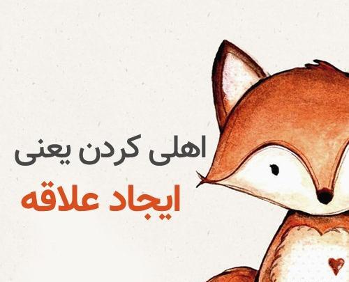 عکس روباه و شازده کوچولو