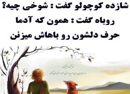 عکس روباه و شازده کوچولو