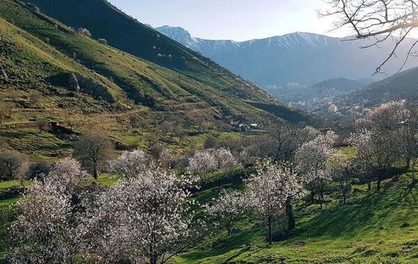 عکس جاهای دیدنی پاوه