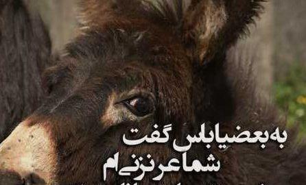 عکس تیکه فامیل