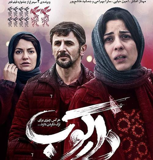 عکس آشیانه سازی دارکوب