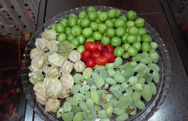 عکس بهار امد