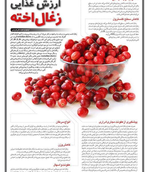 عکس قرص زغال اخته