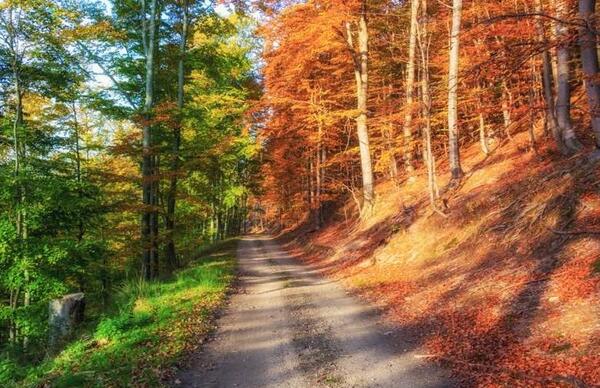 عکس طبیعت زیبا برای فتوشاپ