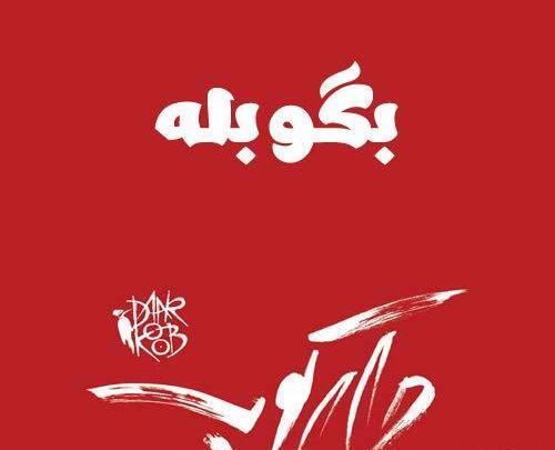 عکس دارکوب بند