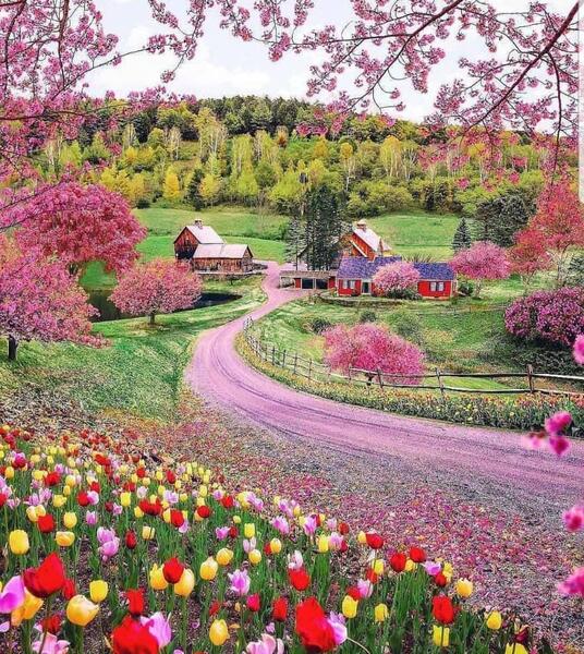 عکس طبیعت زیبا کنار