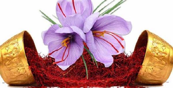 عکس تبلیغ زعفران