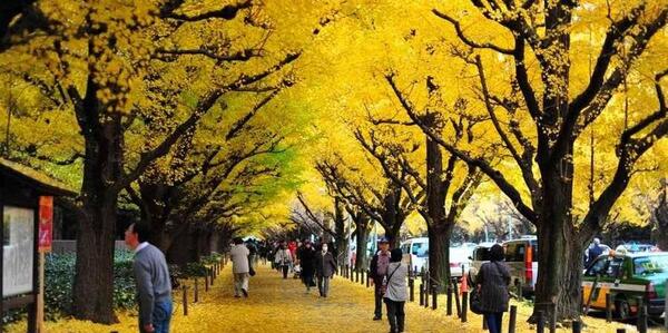 عکس دیدنی های ژاپن