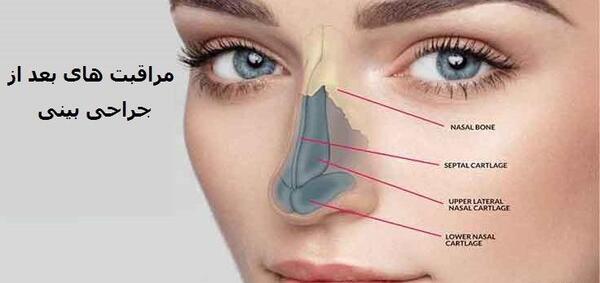عکس داخل دماغ
