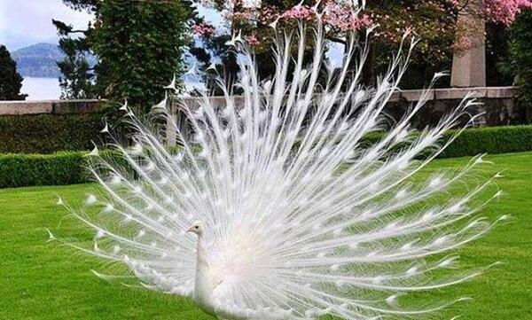 عکس جاهای بسیار زیبا