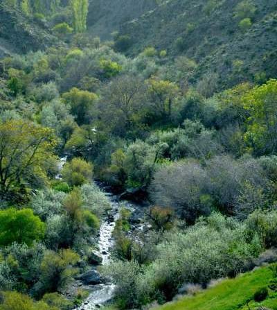 عکس طبیعت زیبای جیرفت